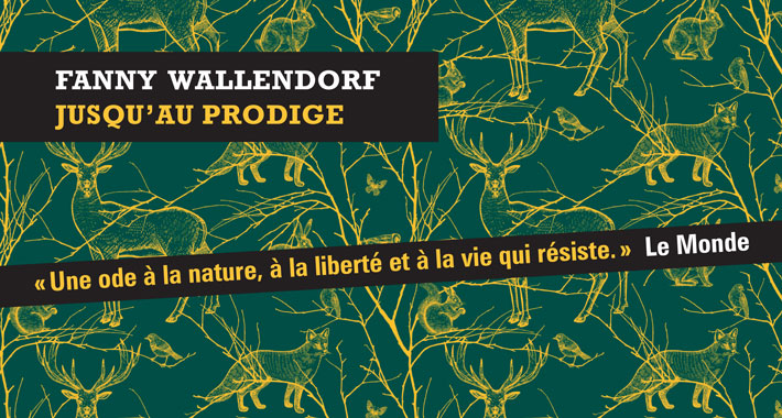 Slider-Prodige