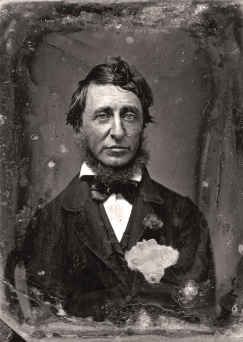 Portrait de l'écrivain Henry David Thoreau